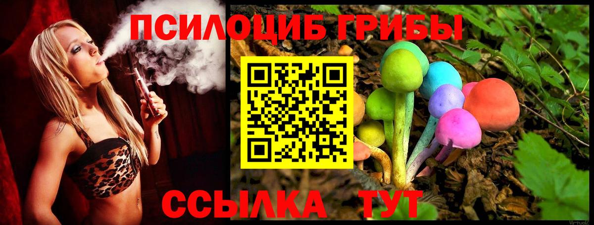 Псилоцибиновые грибы Psilocybine cubensis Ликино-Дулёво